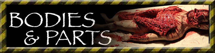 bodies banner